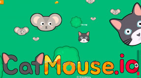 CatMouse.io