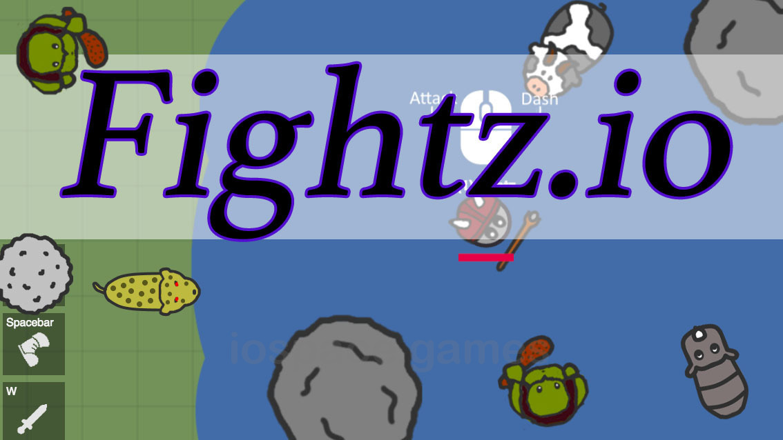 Fightz.io - play on