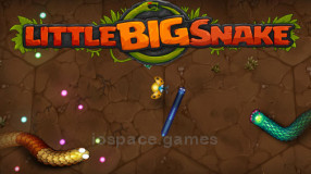 Little Big Snake io