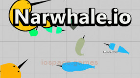 Narwhale.io