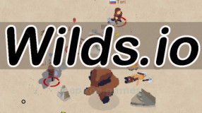 Wilds.io