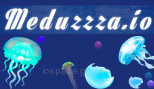 Meduzzza.io