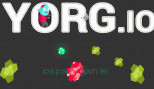 Yorg.io