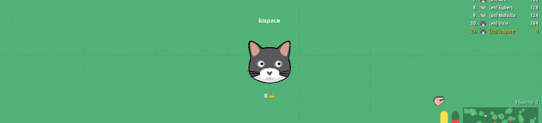 catmouse.io game